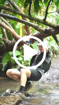 BIB:  <button type="button" onclick="openModal(27523277)" class="btn btn-primary btn-sm float-right" data-toggle="modal" data-target=".modal-high-quality">
                <i class="fa fa-download"></i> Download
                </button>